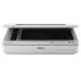 Epson Scanner à plat WorkForce DS-50000 600 x 600DPI A3 