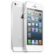 IPHONE 5S 16 GO BLANC (SILVER)