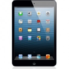 iPad mini - Wi-Fi + Cellular 64Go - Noir & ardoise