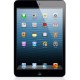 iPad mini - Wi-Fi + Cellular 64Go - Noir & ardoise
