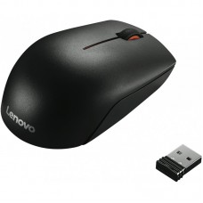 Lenovo 300 Souris sans fil USB (GX30K79401) - Noir