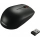 Lenovo 300 Souris sans fil USB (GX30K79401) - Noir