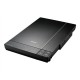 EPSON Perfection V33