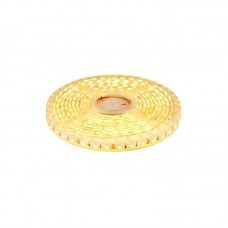 Le ruban LED Extérieur Blanc Chaud 30 LED/m est adhésif, flexible et waterproof IP65.