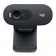 Logitech C505e webcam