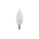 Ampoule LED 5W E14, performante, durable et très économique.
