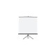ORAY Ecran Portable et Trepieds 175 X 175 cm